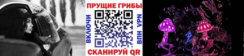 Купить закладки Владимир Галлюциногенные грибы ЛСД